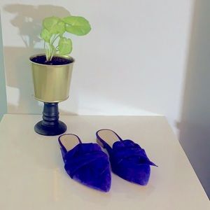 Royal Blue slides to glide 💥7.5